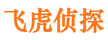 清城市私人侦探